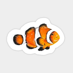 Clownfish Sticker